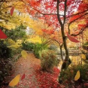 Meet your Posher, Inderjit kaur